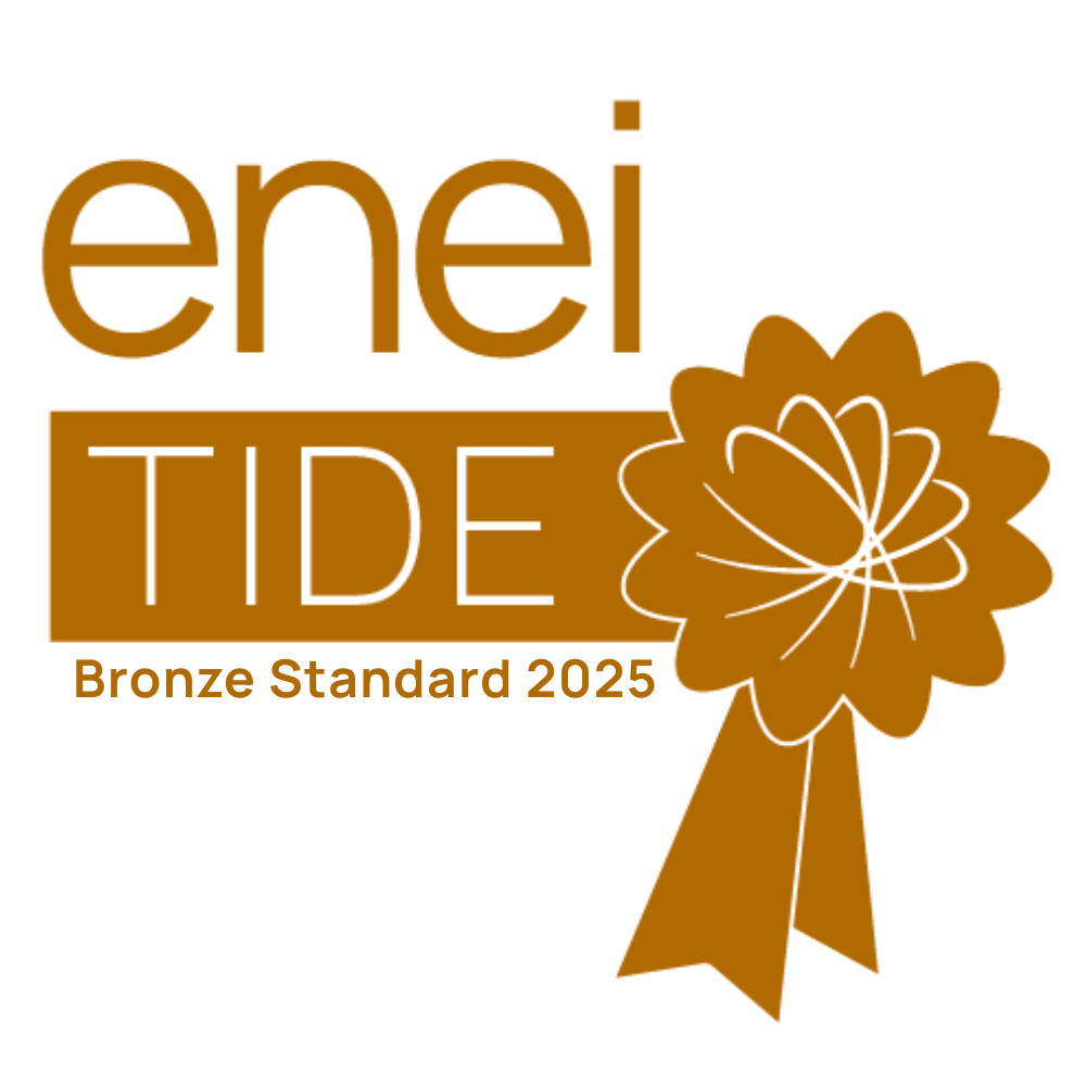 enei tide bronze standard award 2025